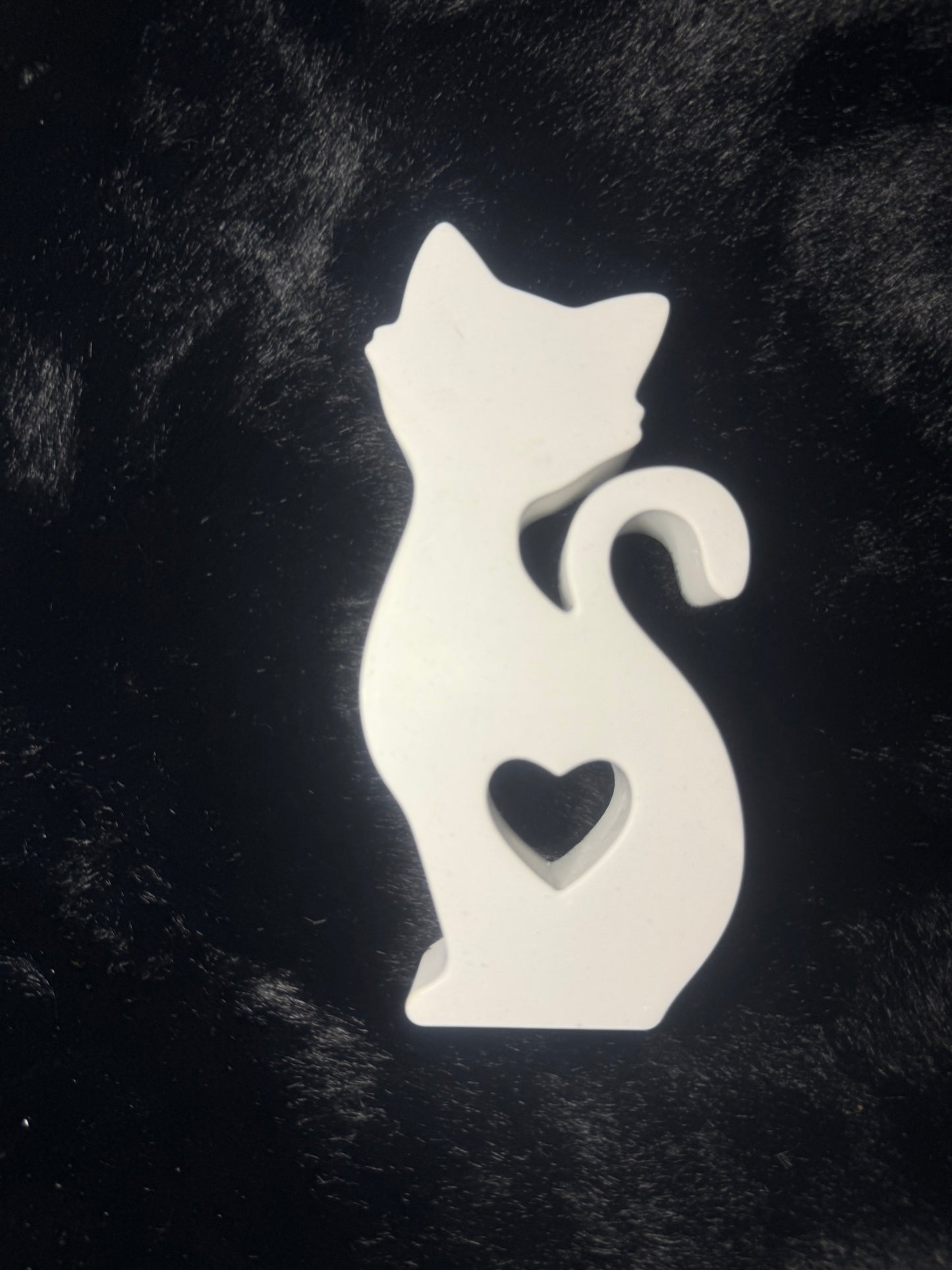 Katze