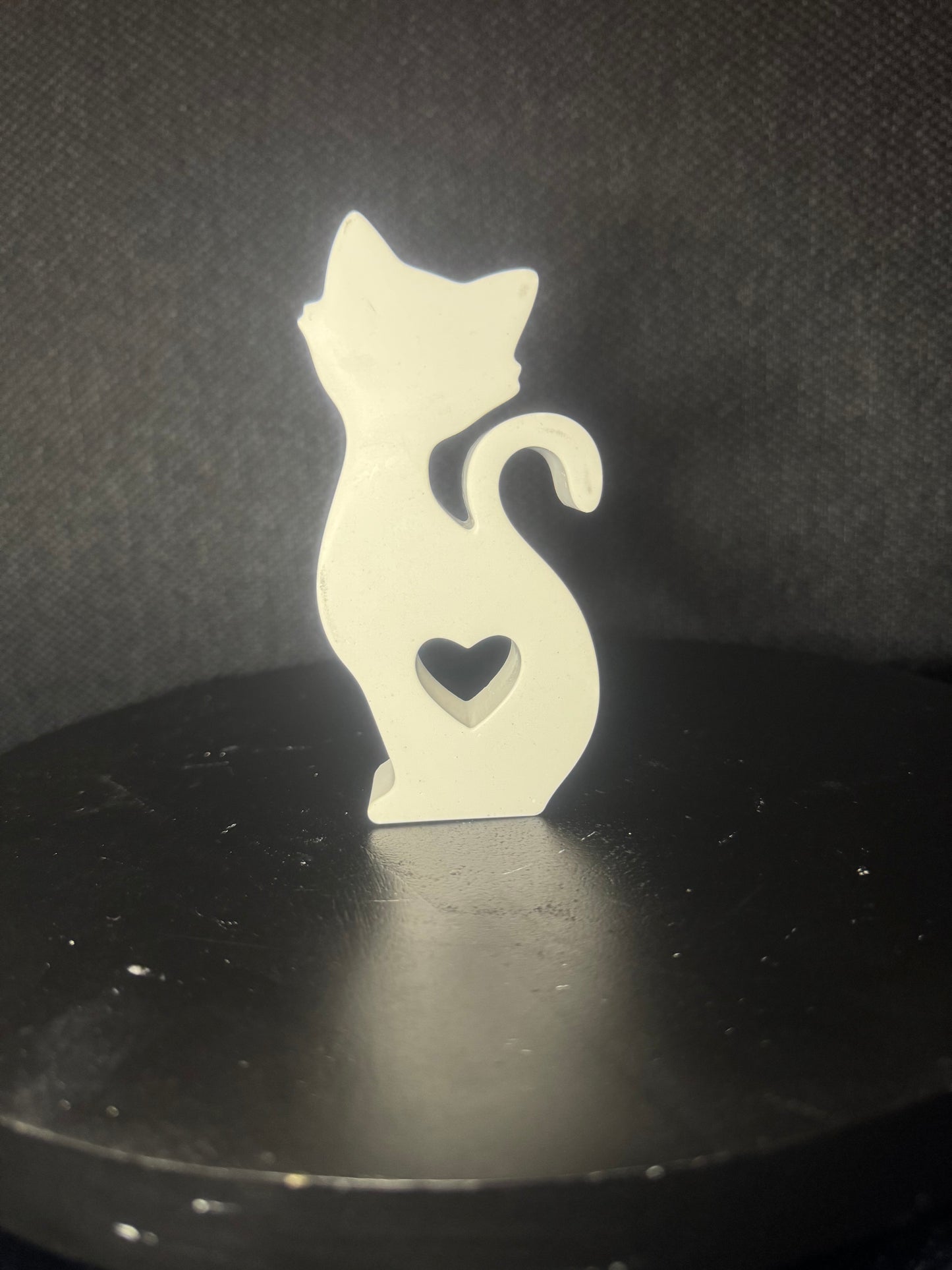 Katze