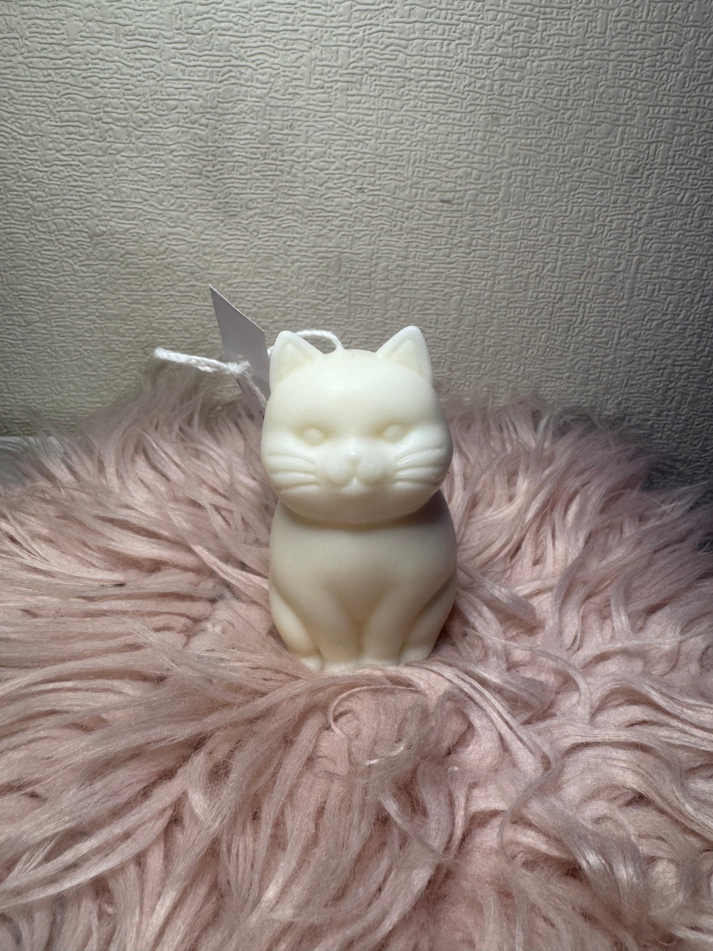 Katze Kerze