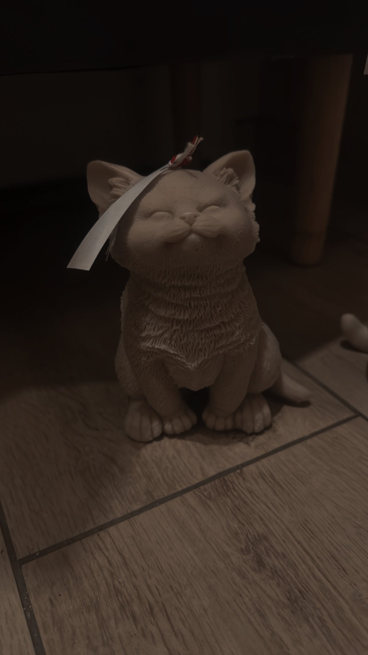 Augen zu Katze