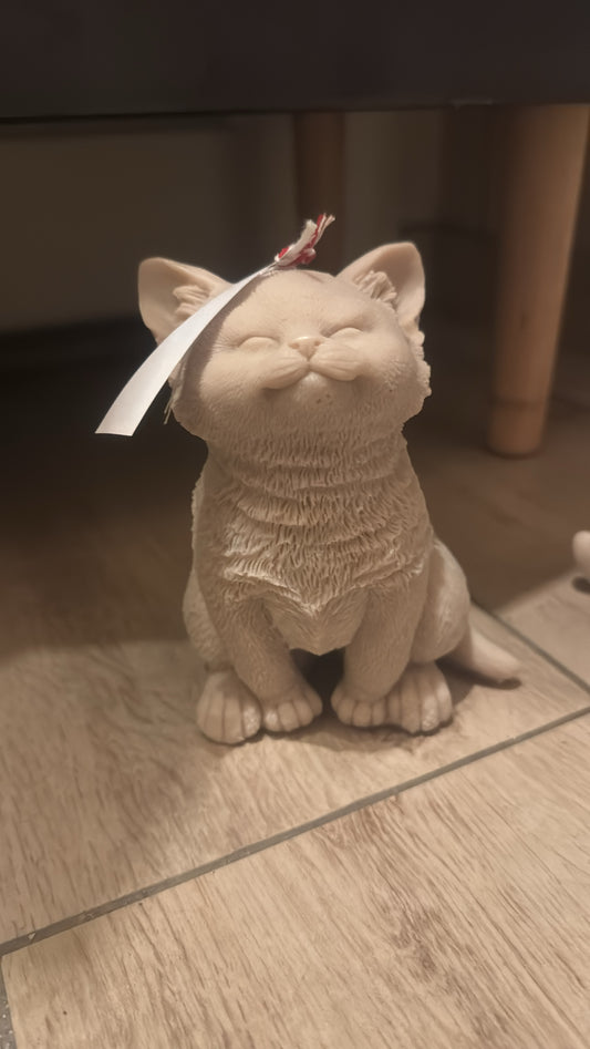 Augen zu Katze