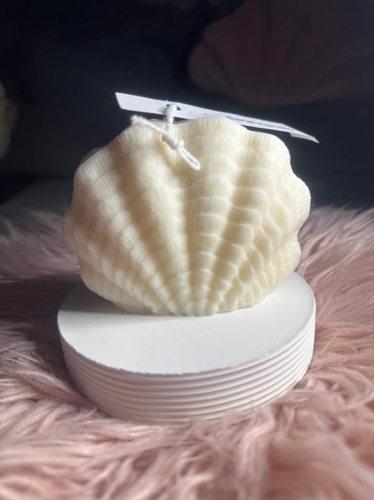 Muschelkerze