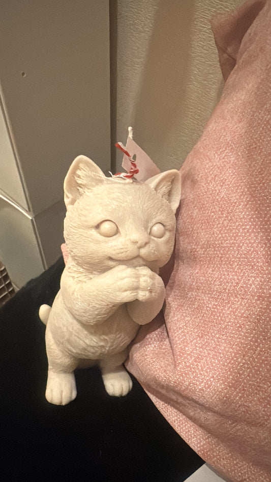 Katze Kerze