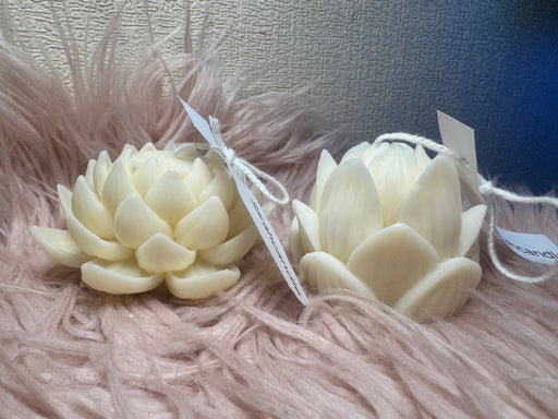 Lotuskerze kaufen, nachhaltige Kerzen, Rapswachskerzen, umweltfreundliche Kerzen, dekorative Kerzen, Blütenkerzen, natürliche Kerzen, besondere Kerzen, deutsche Kerzen, lange Brenndauer, Geschenkideen Kerzen, Kerzenhalter, Naturkerzen.